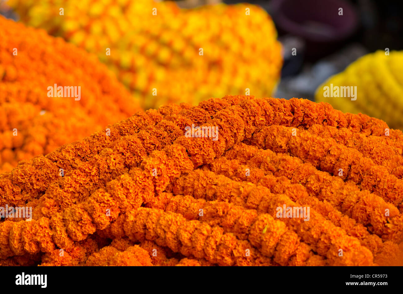 Flower garlands for sale at the flower market of Kolkata, West Bengal
