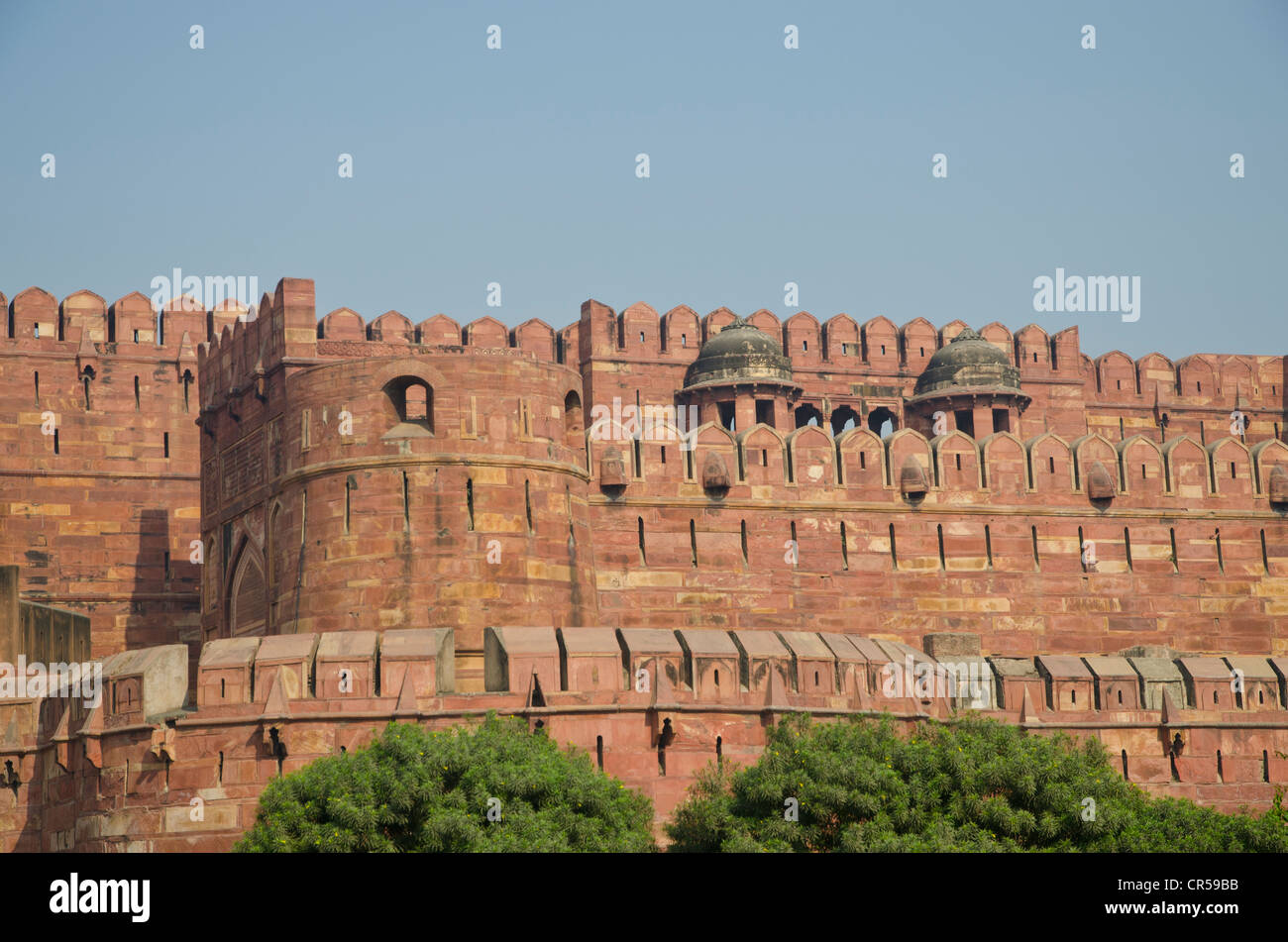 Agra Fort, UNESCO World Heritage, Agra, Uttar Pradesh, India, Asia Stock Photo