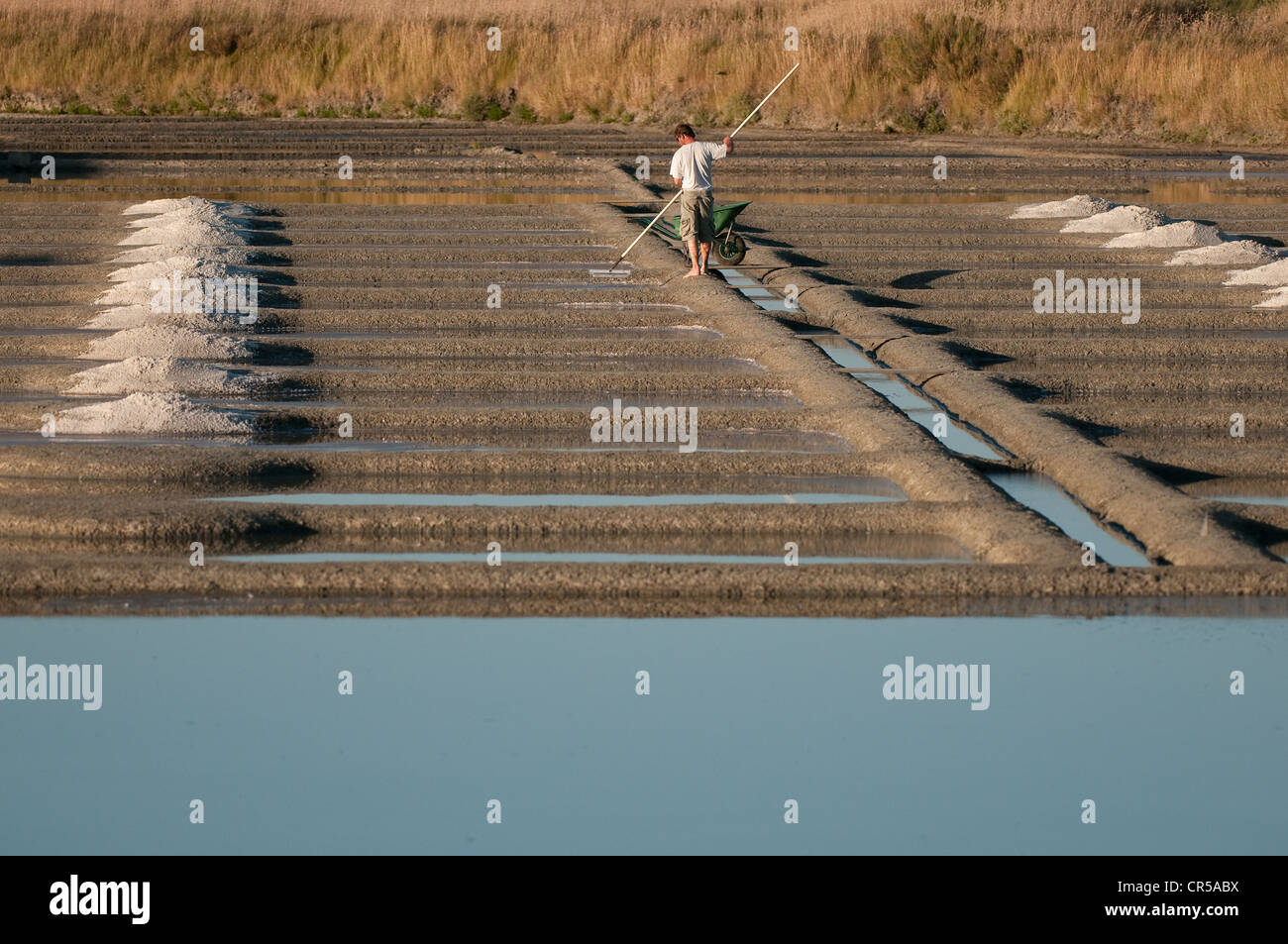 Sel de guerande salt hires stock photography and images Alamy