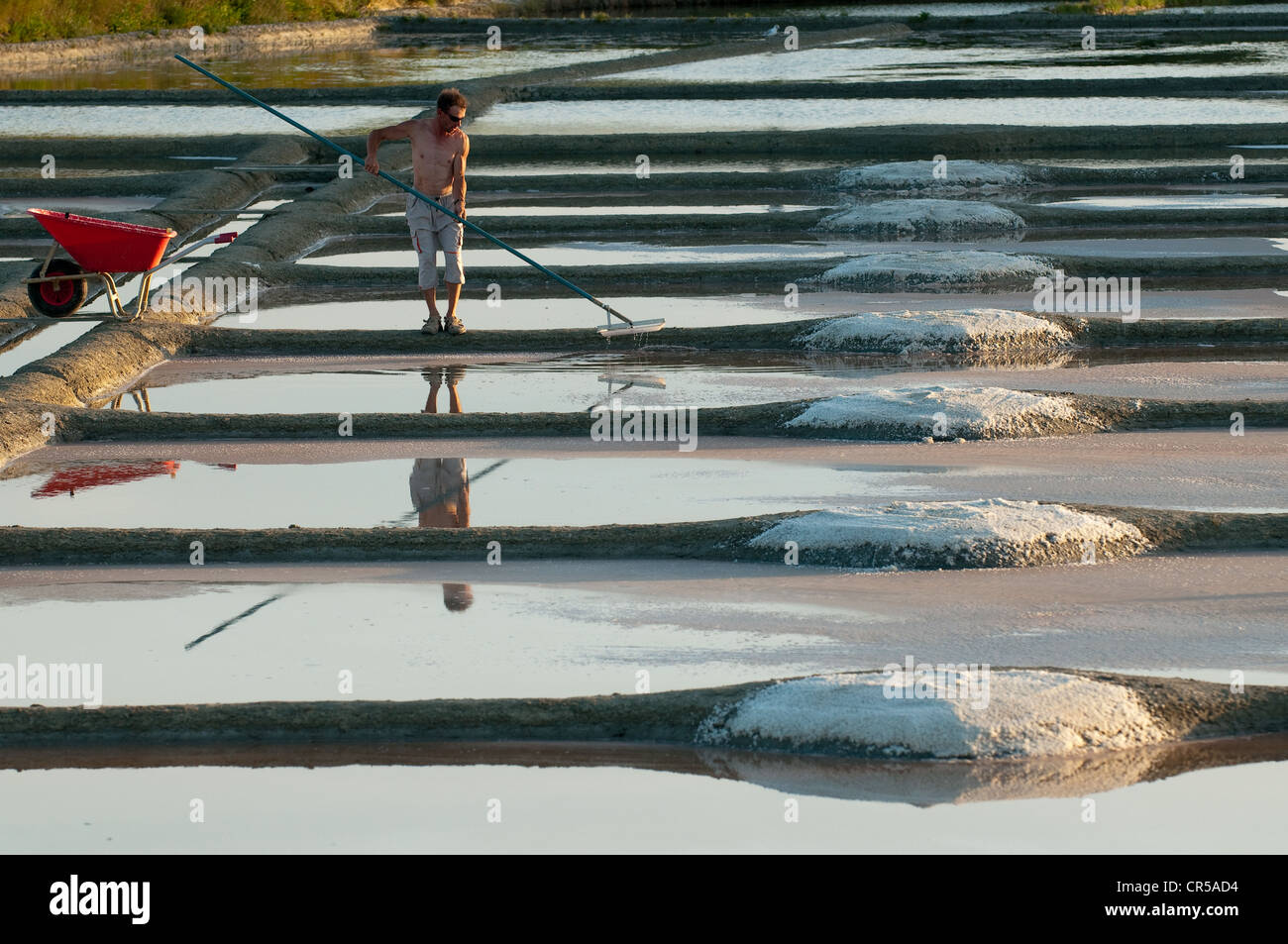 France Loire Atlantique Presqu'ile de Guerande guerande's Peninsula