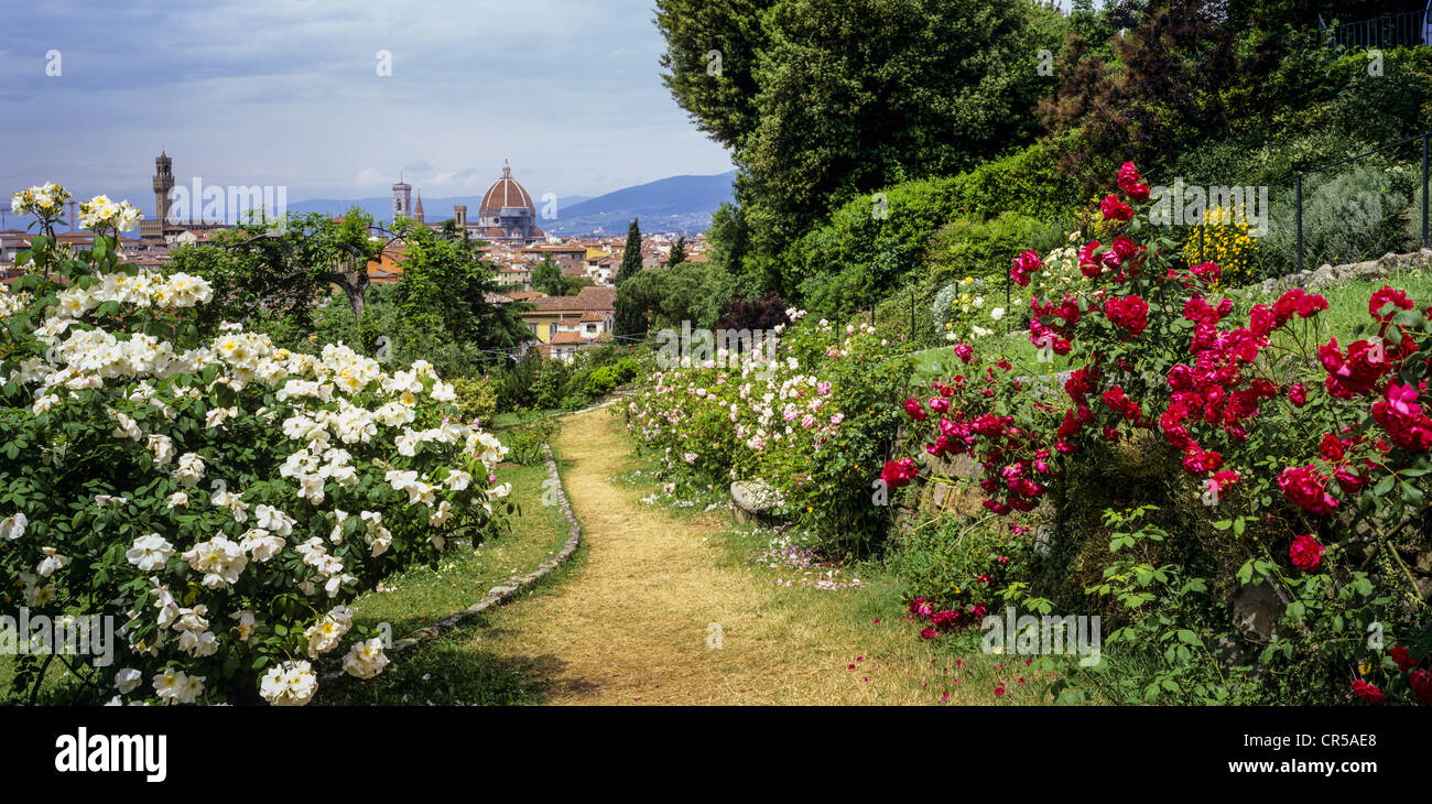Giardino delle Rose, Florence, Firenze, Tuscany, Italy, Europe Stock Photo  - Alamy