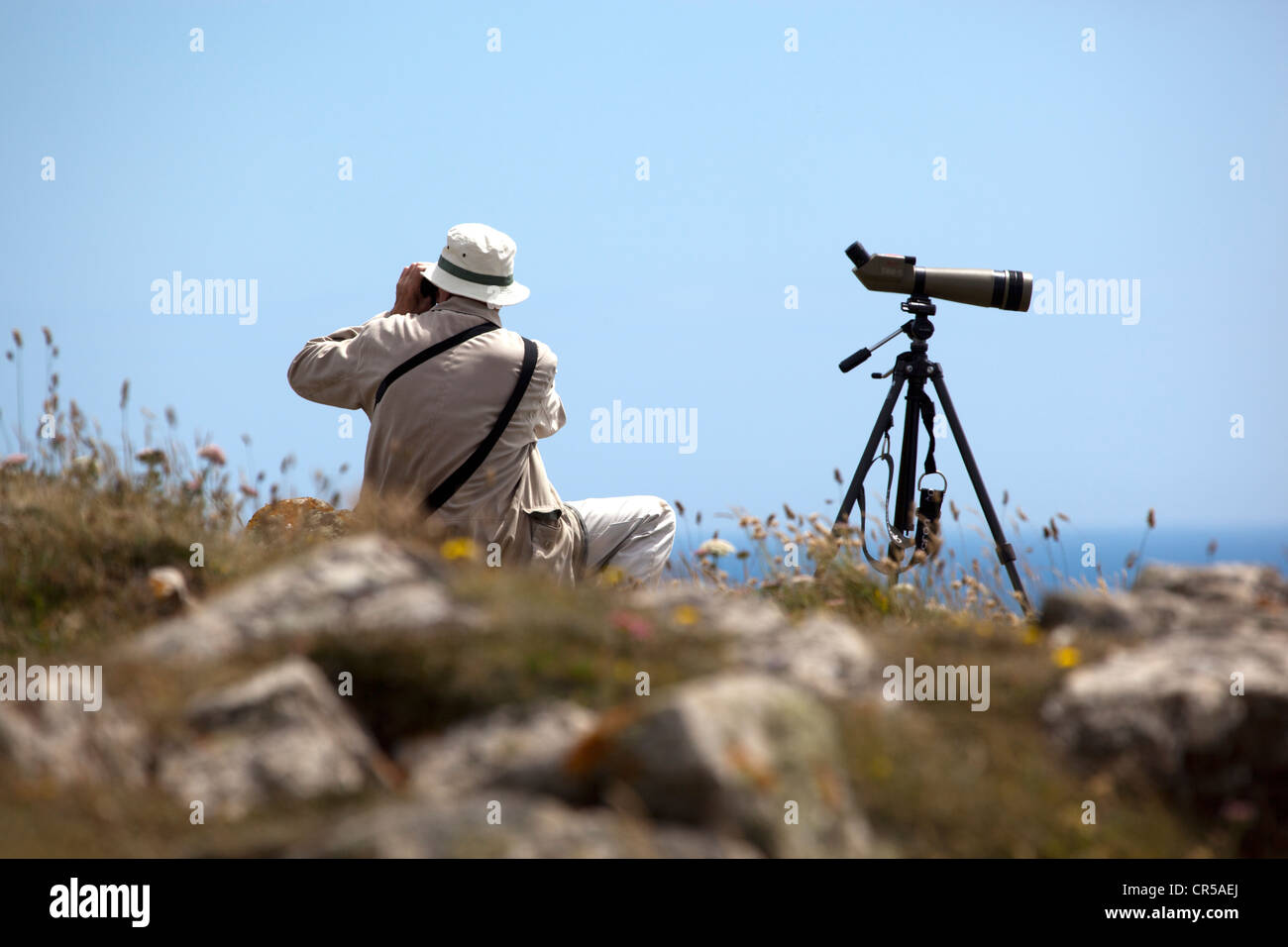 Bird watching Twitcher near Kynance Cove Cornwall Stock Photo