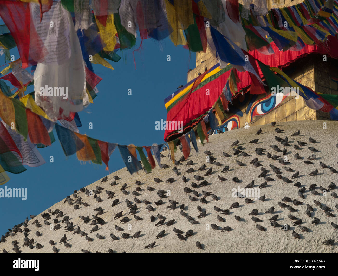 Hundreds of doves warming themselves on the top of Boudnath stupa, Boudnath, Kathmandu, Nepal, South Asia Stock Photo