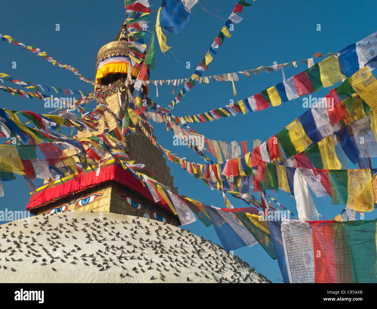 Prayer flags surrounding the top of Boudnath stupa, Boudnath, Kathmandu, Nepal, Asia Stock Photo
