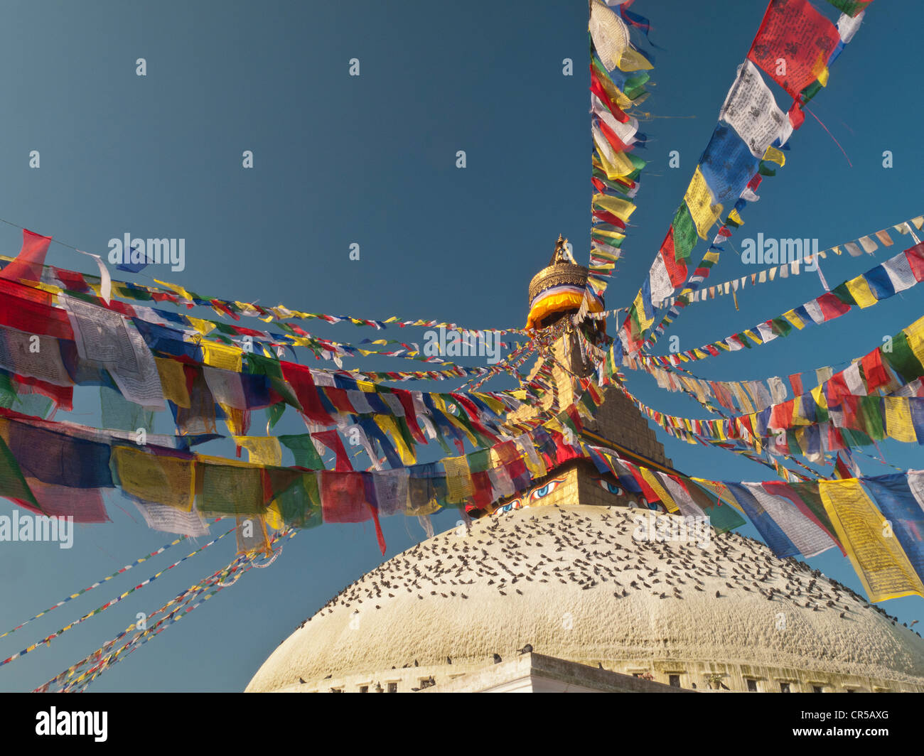 Prayer flags surrounding the top of Boudnath stupa, Boudnath, Kathmandu, Nepal, Asia Stock Photo