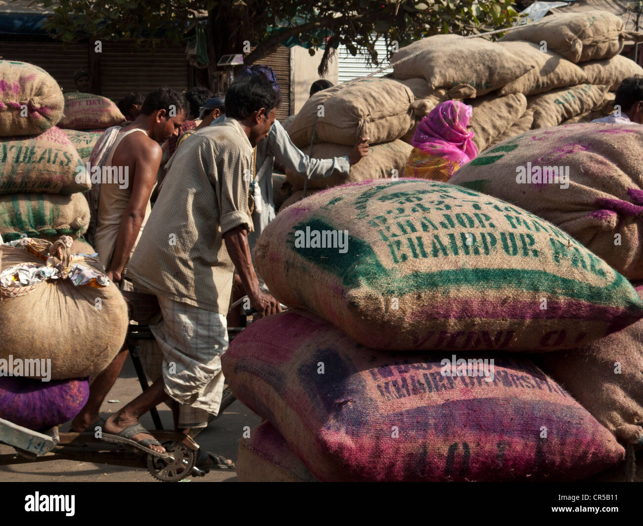 Spices and crops are transported with traditional carts at the spice wholesale market in Old Delhi, Delhi, India, Asia Stock Photo