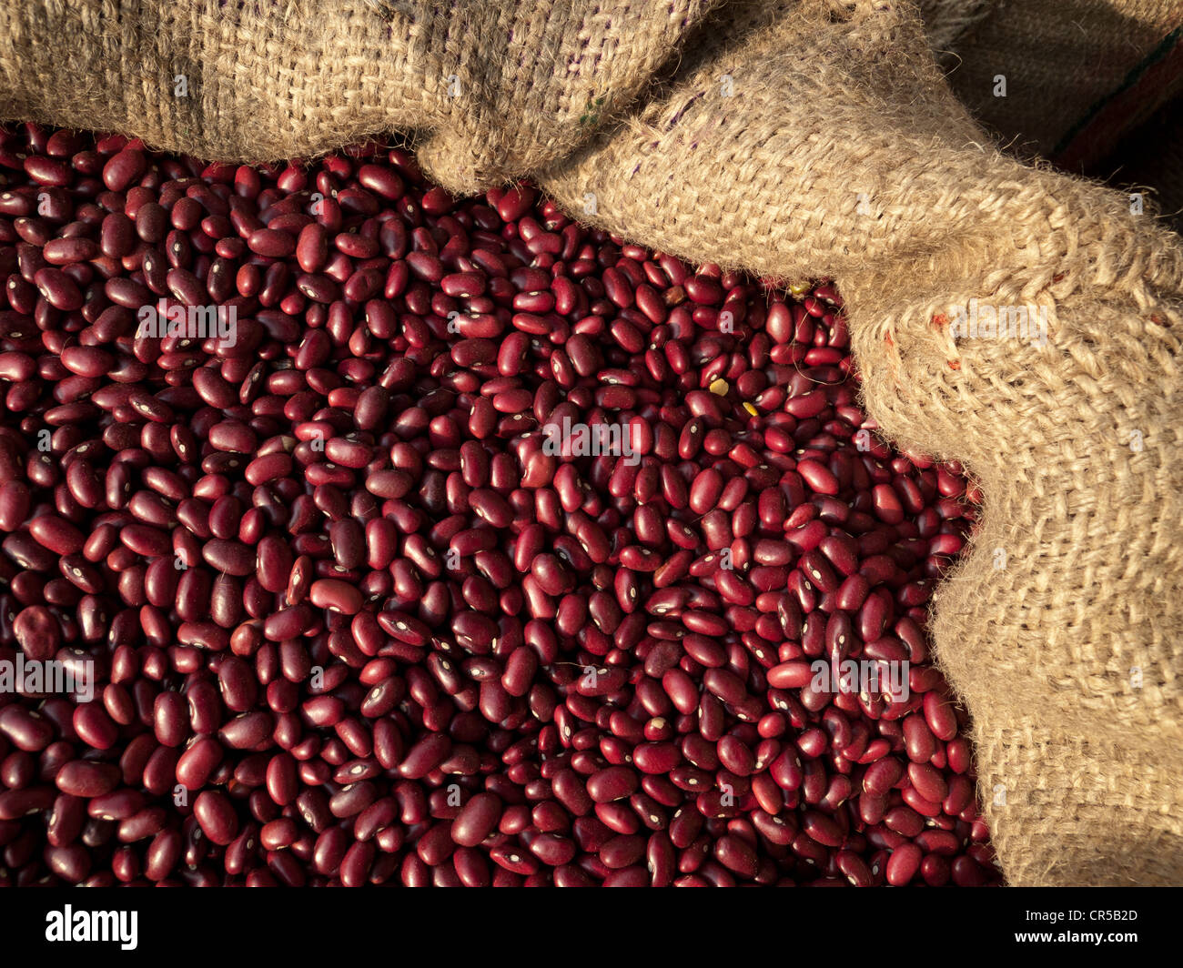 Red beans for sale, New Delhi, India, Asia Stock Photo Alamy