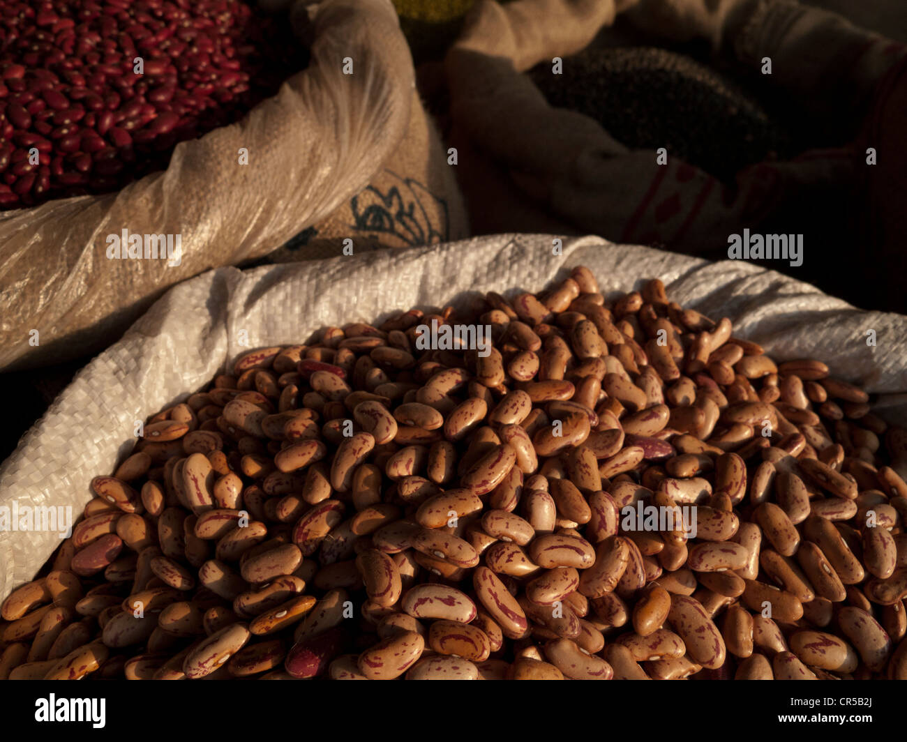Red beans are used in many different meals in indian traditional cooking, New Delhi, India, Asia Stock Photo