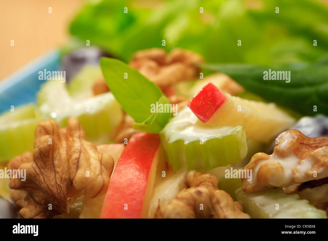 Classic Waldorf Salad - red skinned apple, walnuts, chopped celery and grapes in a creamy dressing. Stock Photo