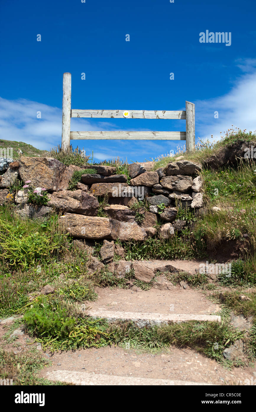 Lizard gate hi-res stock photography and images - Alamy