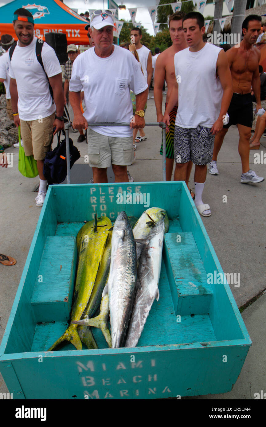 Miami Beach Florida,Marina,deep sea fishing tournament,catch,cart,amberjack,yellow dolphin,fish,Black man men male adult adults,FL120525015 Stock Photo