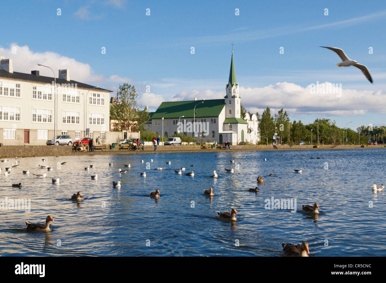 Iceland, Reykjavik, Frikirkjan church along Tjornin Lake Stock Photo