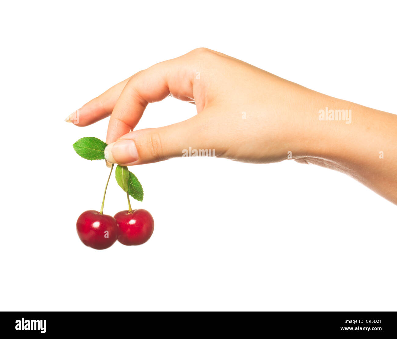 черешня на ладони. вишня в руке.