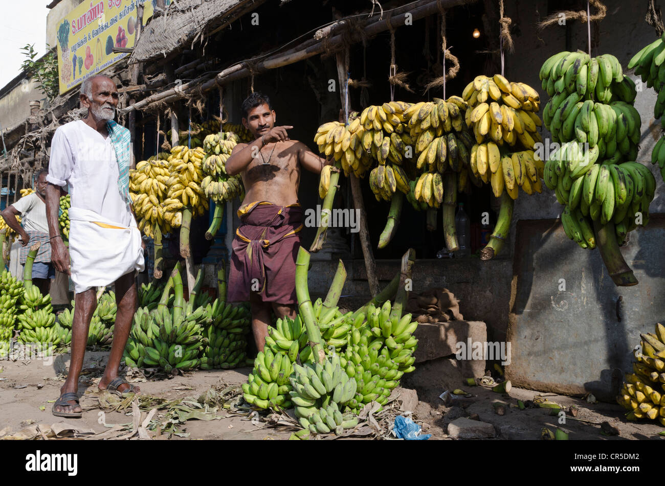 Bananas for sale, wholesale market in the streets of Madurai, Tamil Nadu, India, Asia Stock Photo