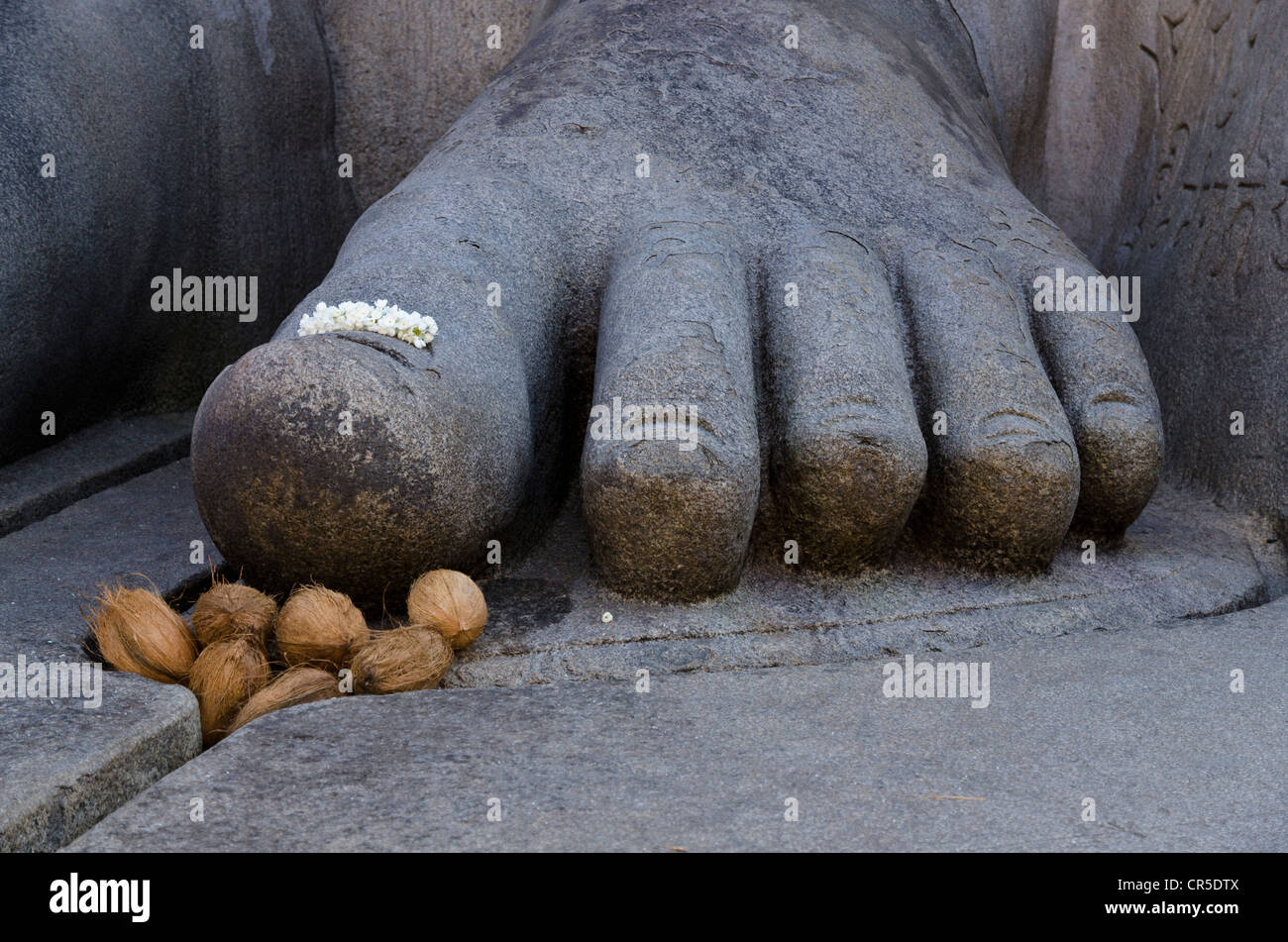 Coconuts and flowers as offerings at the feet of the gigantic statue of Gomateshwara in Sravanabelagola, Karnataka, India, Asia Stock Photo