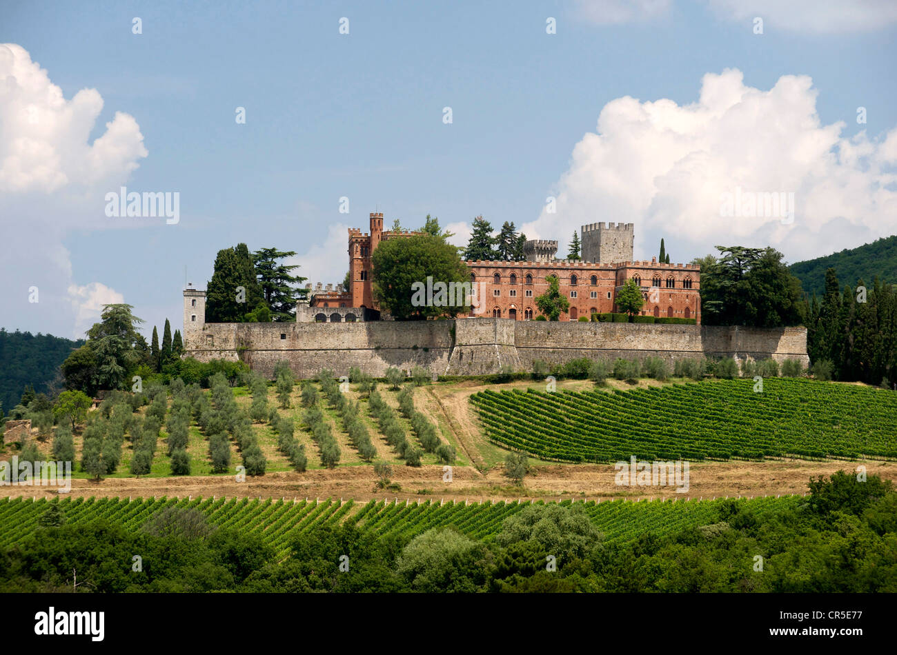 Italy, Tuscany, Chianti Wine producing area, Castello di Brolio Wine producing domain Stock Photo