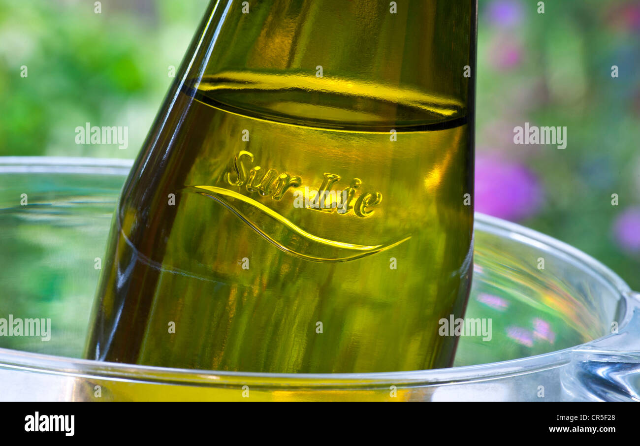 Close view on alfresco bottle of French Muscadet wine in late afternoon garden sun with 'Sur Lie' in relief on bottle neck Stock Photo