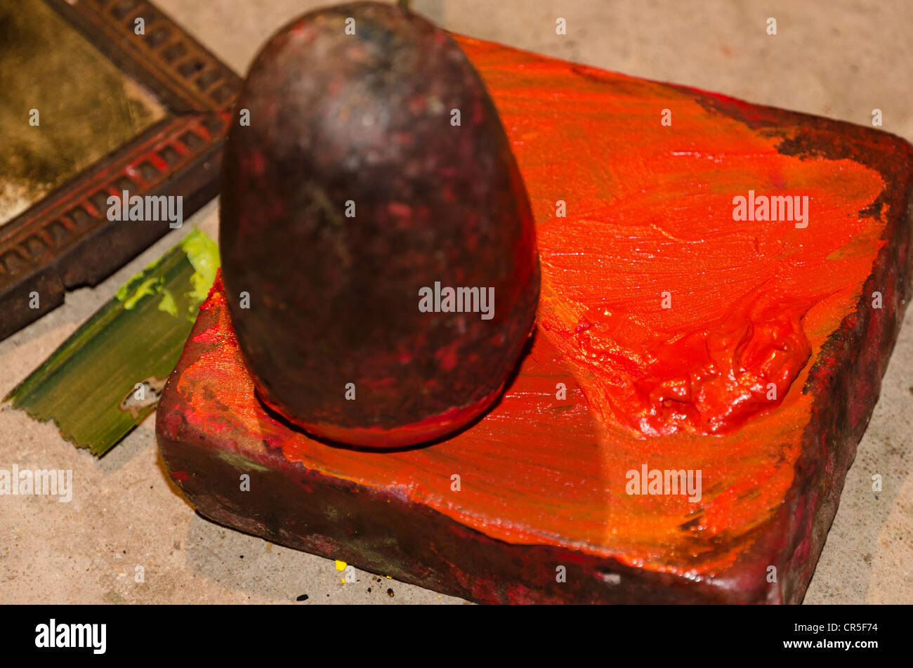 The colour red for the make-up of the Kathakali dancers is made from Chayallium, Varkala, Kerala, India, Asia Stock Photo