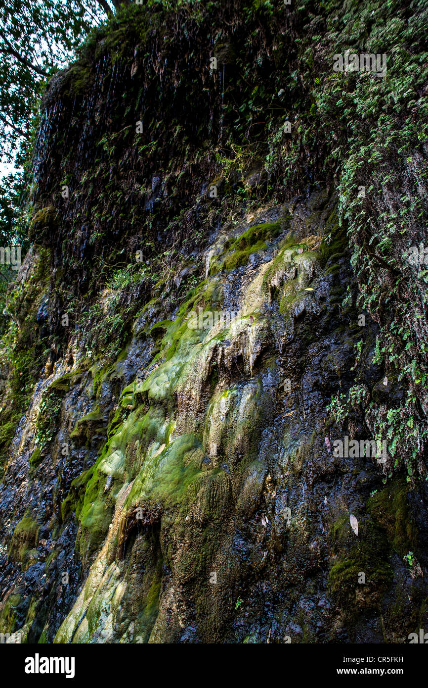 A small waterfall from a spring along the roadside of California's