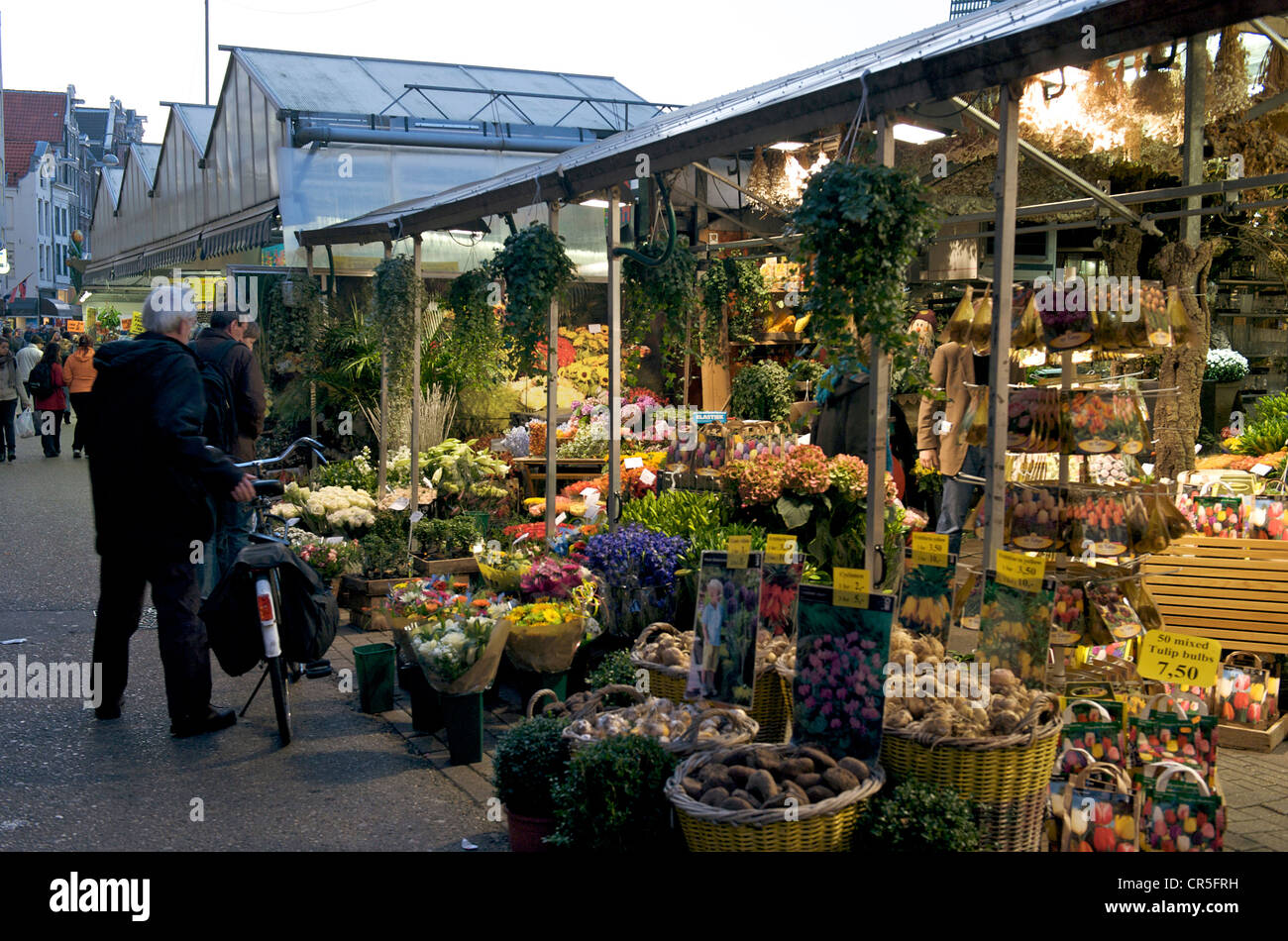 Netherlands, Amsterdam, flower market (Bloemenmarkt Stock Photo Alamy