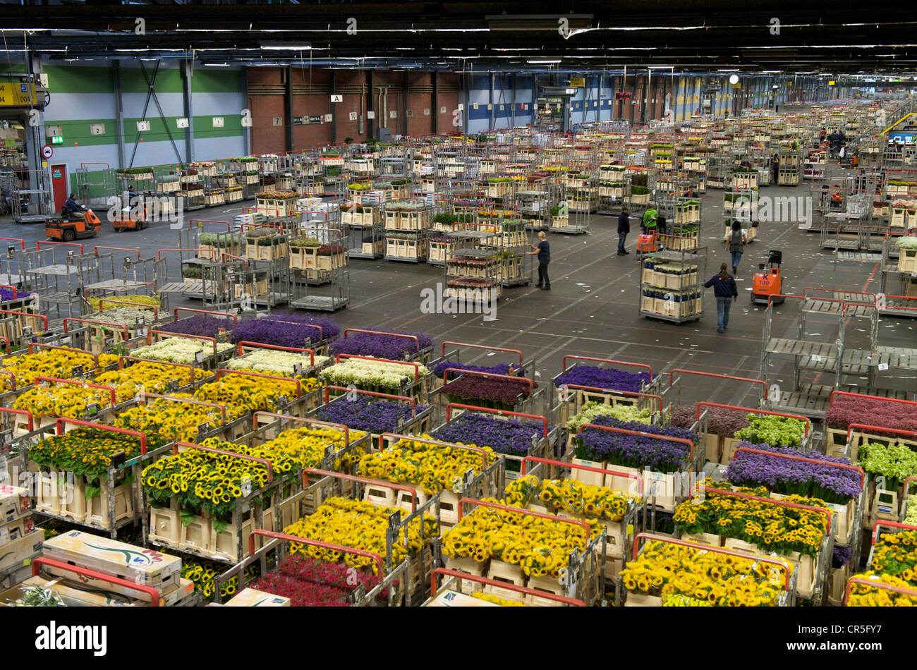 Netherlands, South Holland Province, Aalsmeer, the largest flower