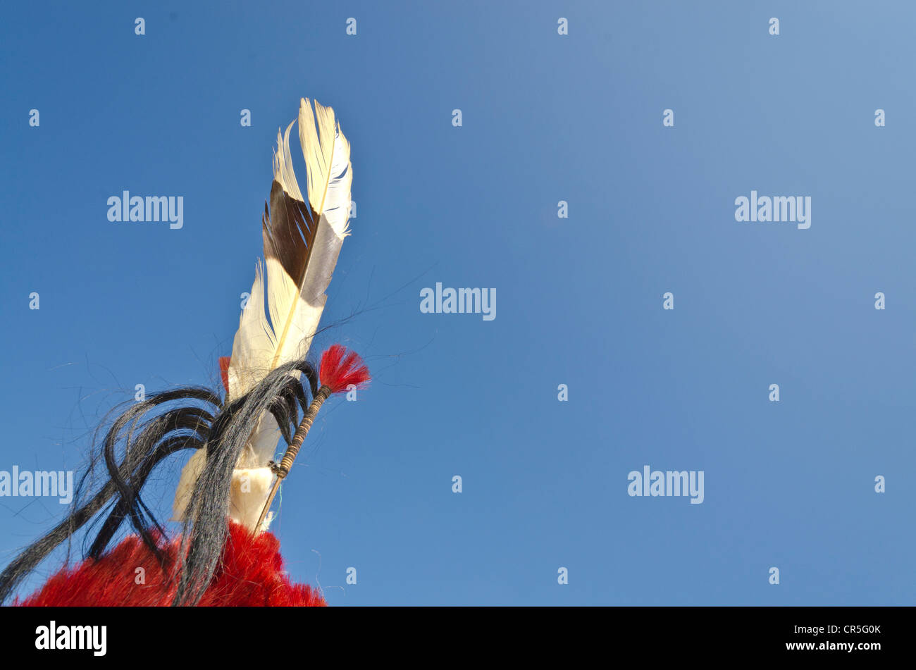 Feather, decoration at the annual Hornbill Festival, Kohima, Nagaland, India, Asia Stock Photo