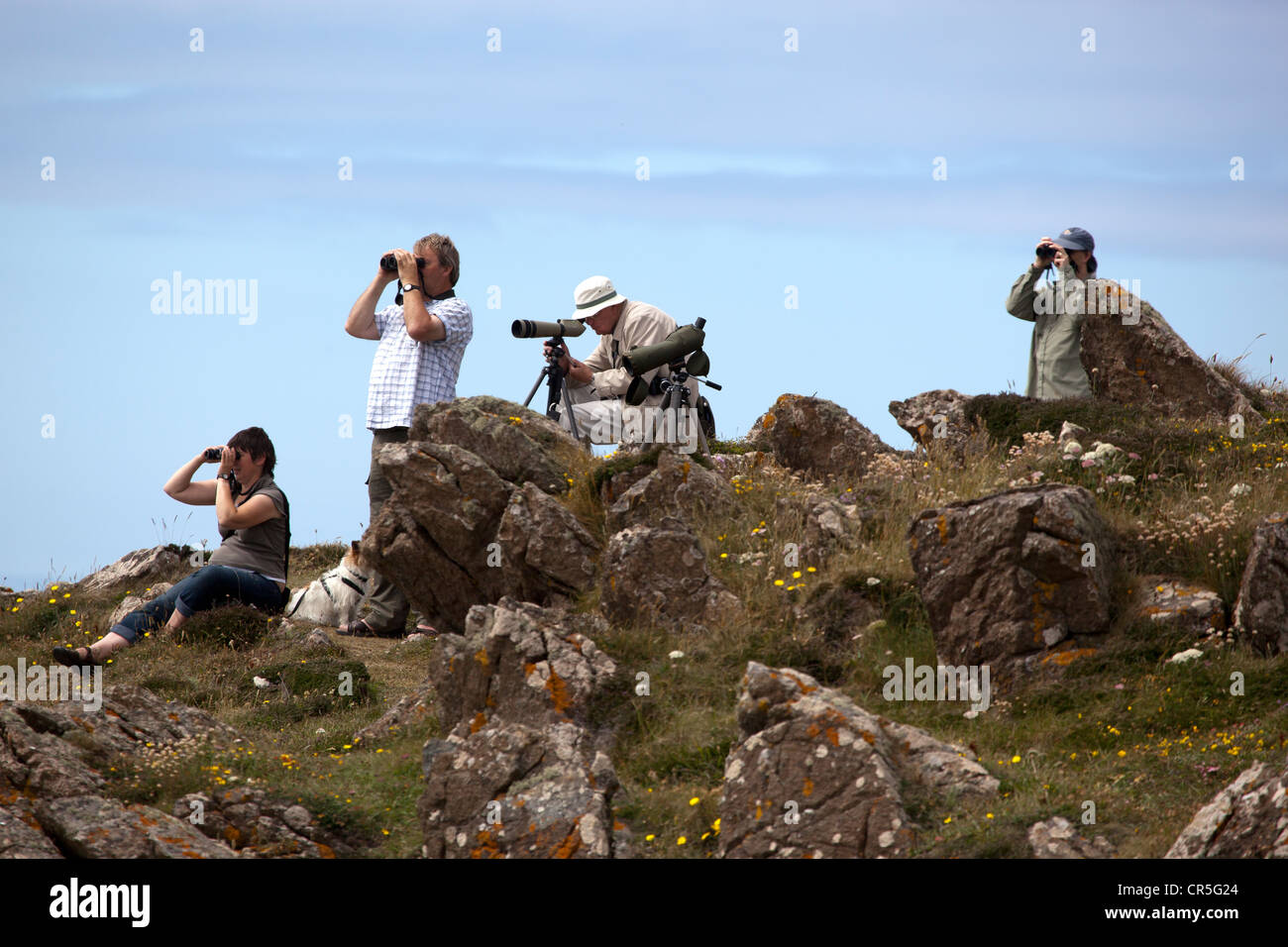 Birdwatchers or Twitchers on clifftop near Kynance Cove Stock Photo