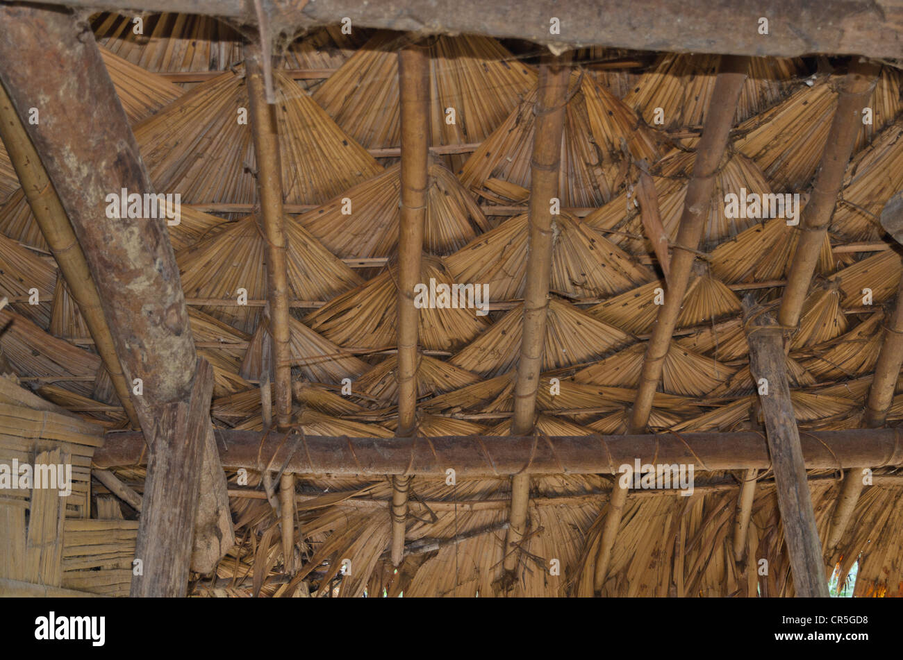 Roof construction of a house of the Adi Gallo tribe, Pobdi, Arunachal Pradesh, India, Asia Stock Photo
