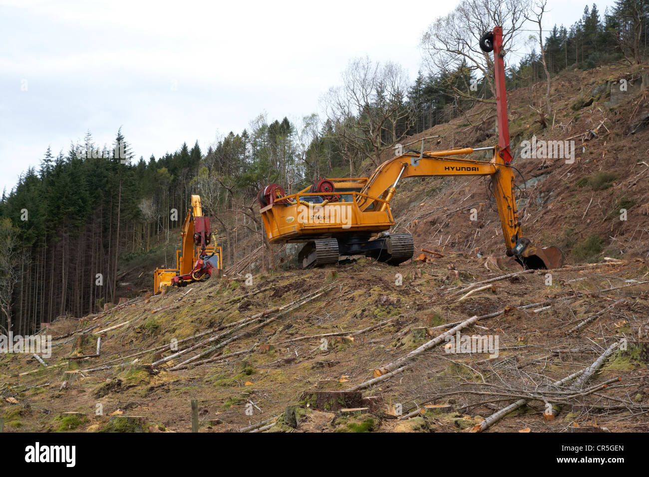 jcbs and heavy equipment cutting down trees in a forest in the