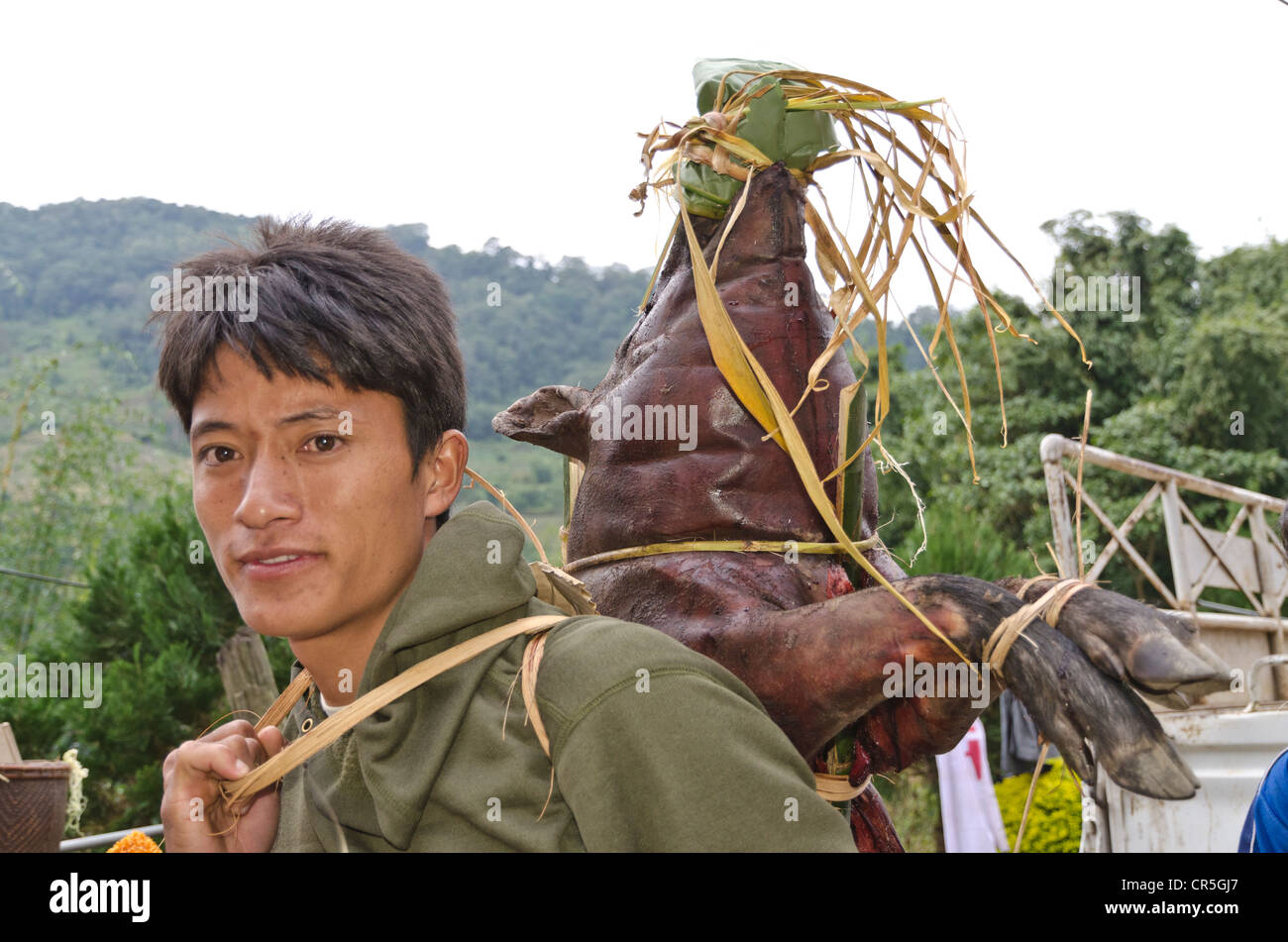Villager of the Nishi tribe offering smoked pig at a wedding ceremony in Peni village, Arunachal Pradesh, India, Asia Stock Photo