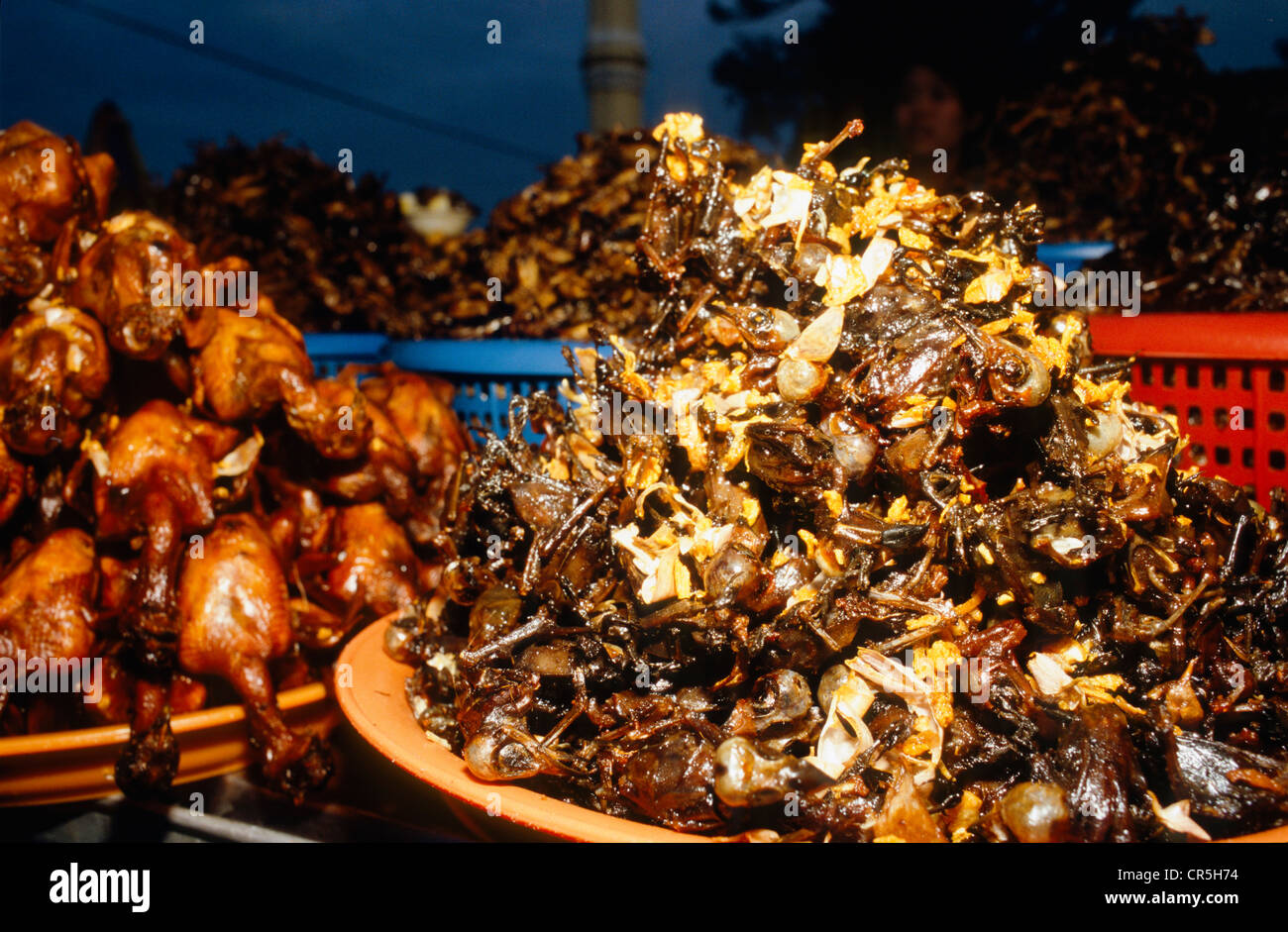 Fried insects, a local delicacy, in Pnom Penh, Cambodia, Southeast Asia Stock Photo