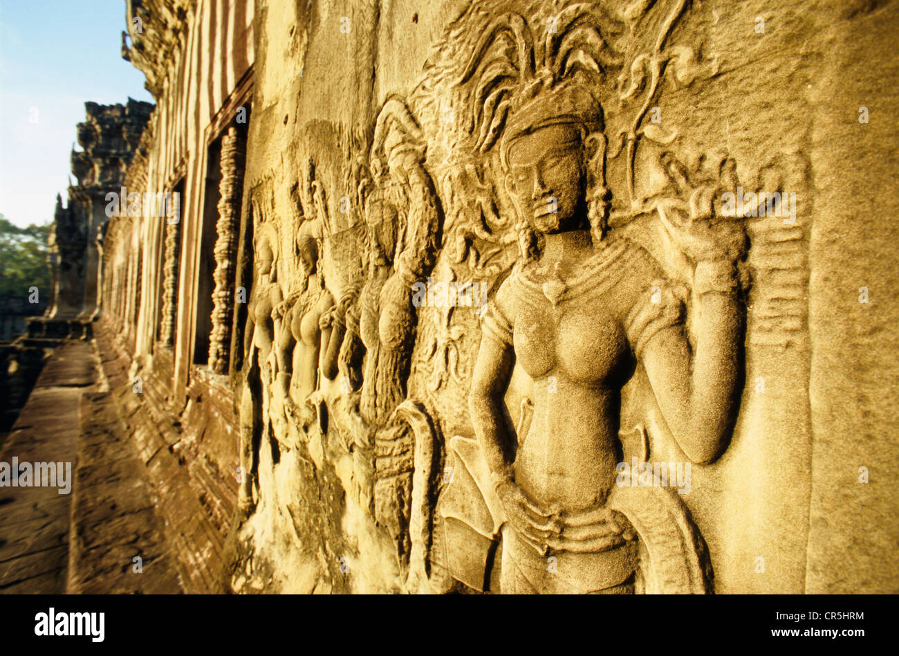 Rock carvings, Angkor Wat, Siem Reap, Cambodia, Southeast Asia Stock Photo