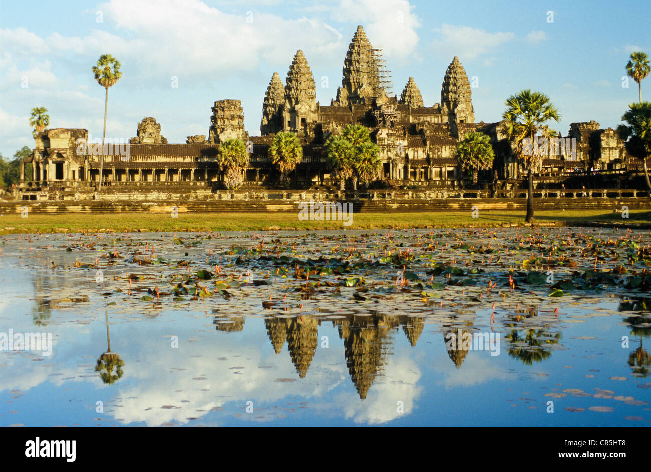 Angkor Wat, reflected in the lotos lake, Siem Reap, Cambodia, Southeast Asia Stock Photo