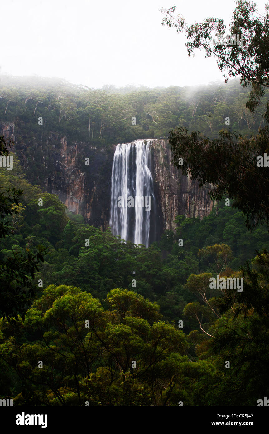 Minyon Falls plunges 100m in the Nightcap National Park. Stock Photo