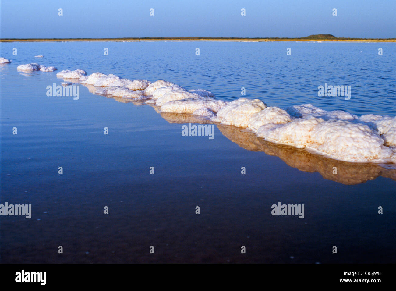 Salt production with artificial basins, created to let the water condense, Malya, Gujarat, India, Asia Stock Photo