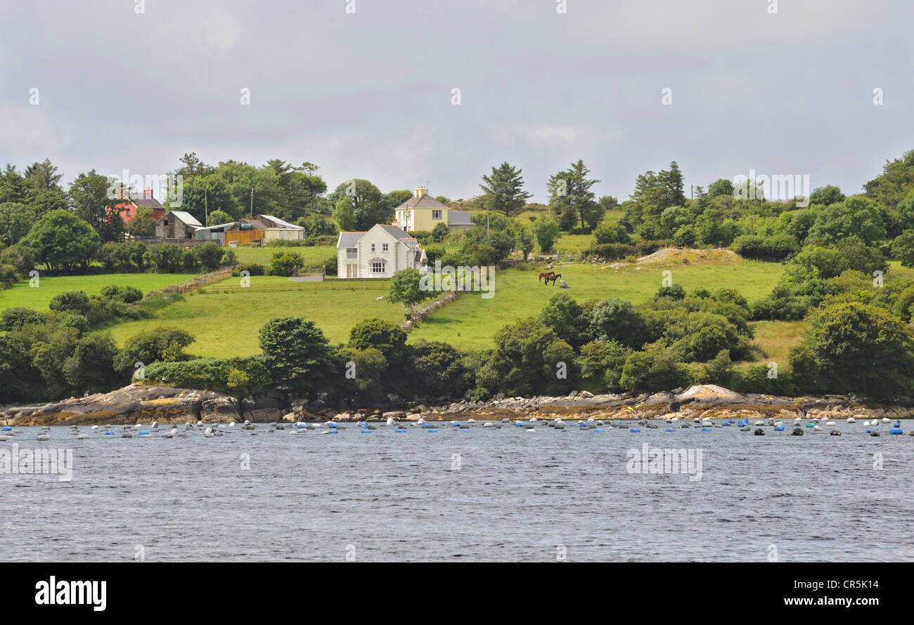 Adrigole, Beara Peninsula, West Cork, Ireland Stock Photo Alamy