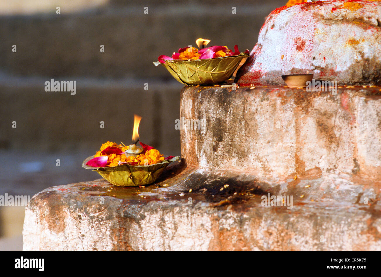 Deepaks, little boats made from leaves, to carry good wishes down the river Ganges, Varanasi, Uttar Pradesh, India, Asia Stock Photo