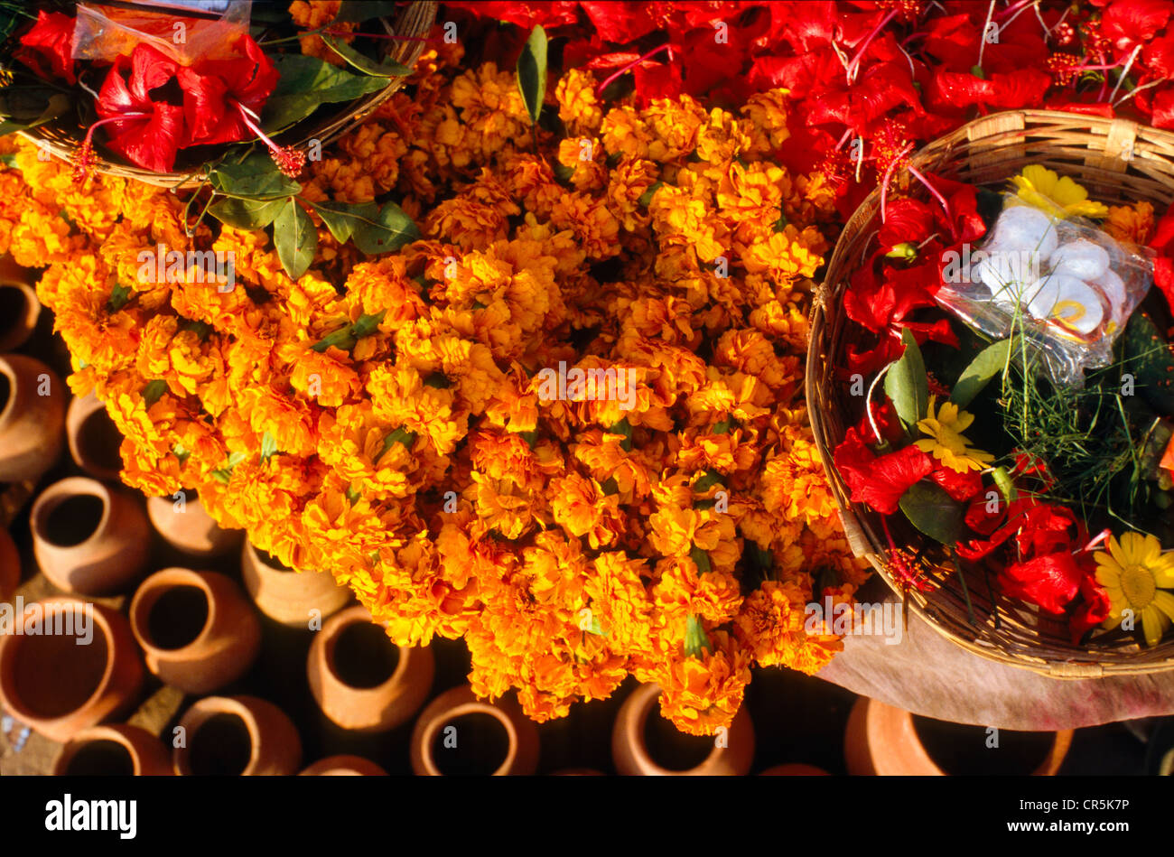 Flowers for religious ceremonies and rituals, Varanasi, Uttar Pradesh, India, Asia Stock Photo