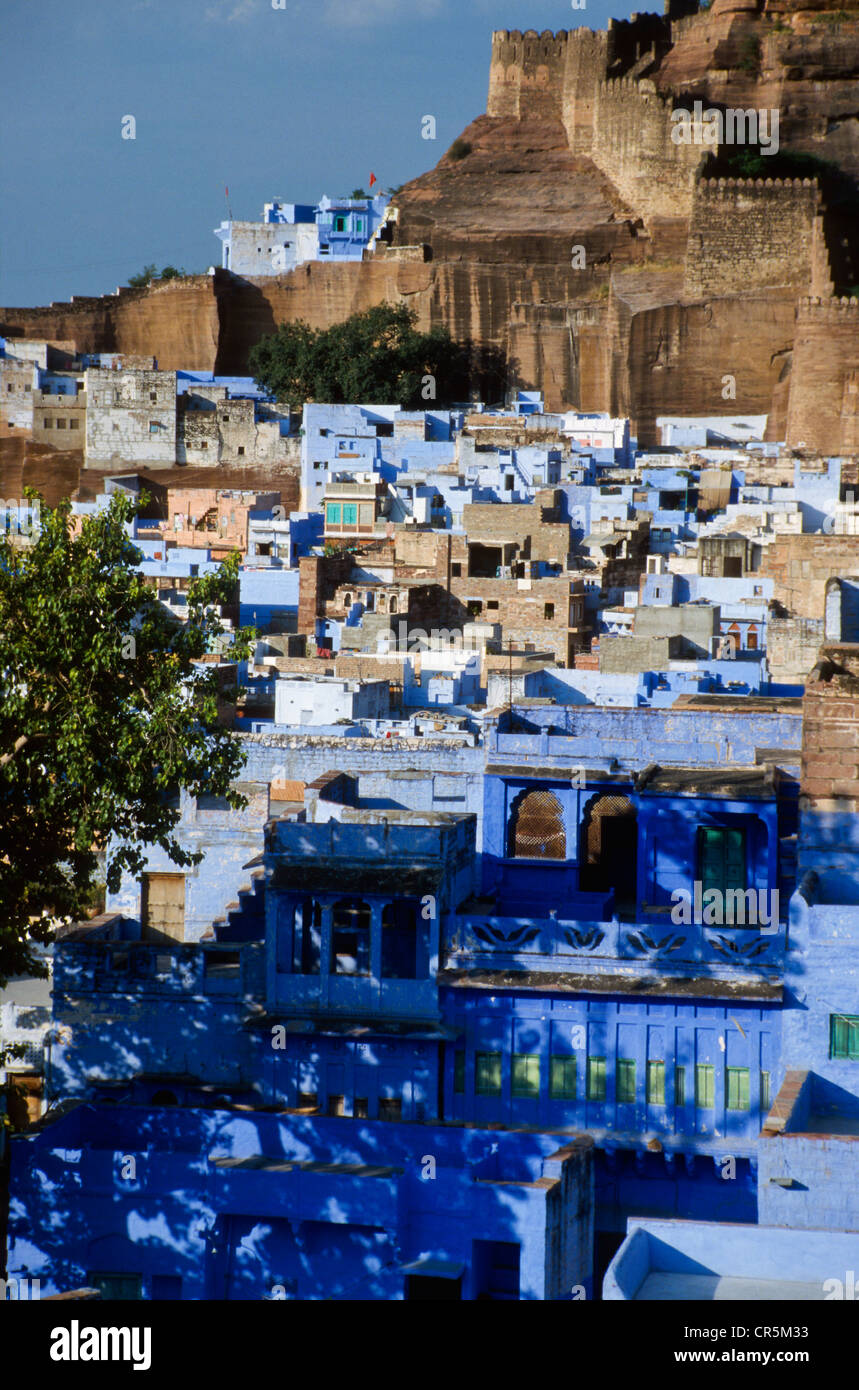 Blue City of Jodhpur with Meherangarh Fort, Rajasthan, India, Asia Stock Photo