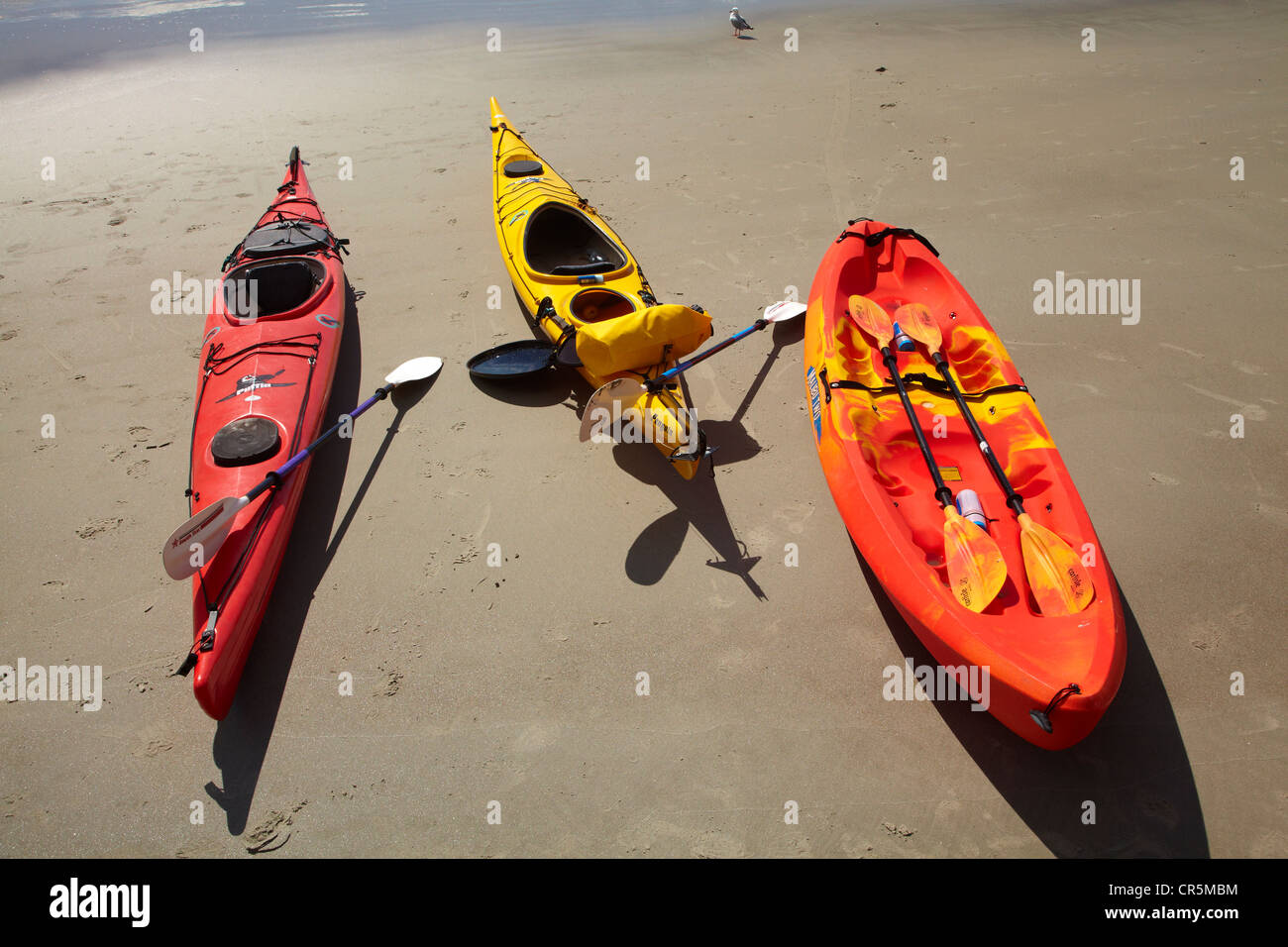 Kayaks on beach by Doctors Point, north of Dunedin, South Island, New Zealand Stock Photo