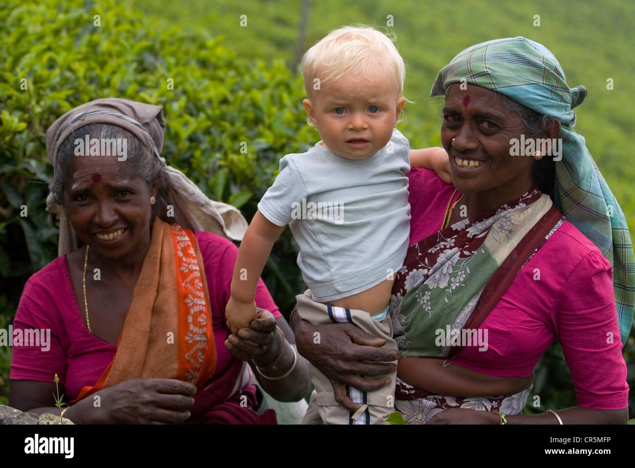 Tamil tea pickers with infant boy, Dambatenne, Uva, Sri Lanka Stock Photo