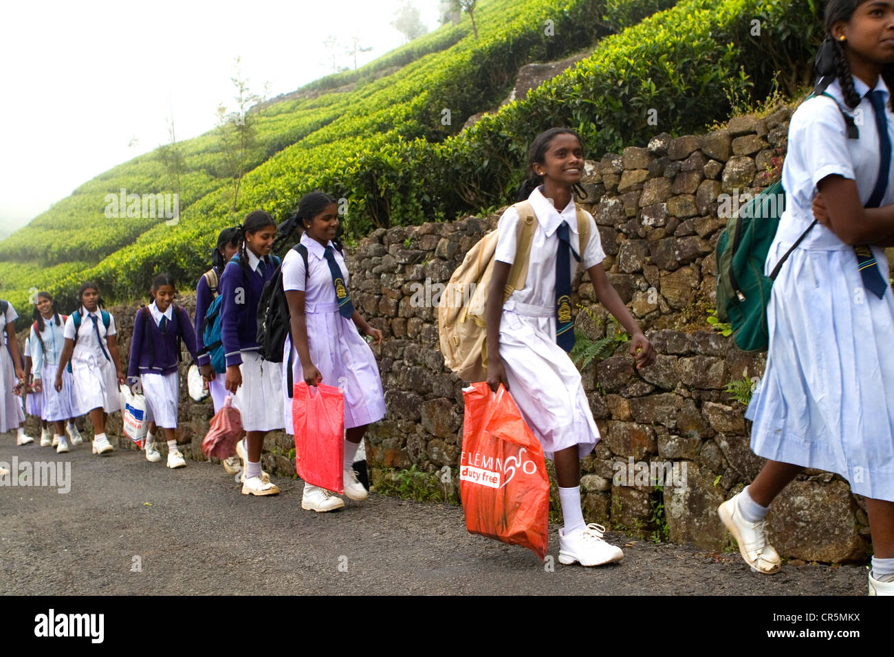 School girls on the road to Lipton’s Seat, Dambatenne, Uva, Sri Lanka Stock Photo