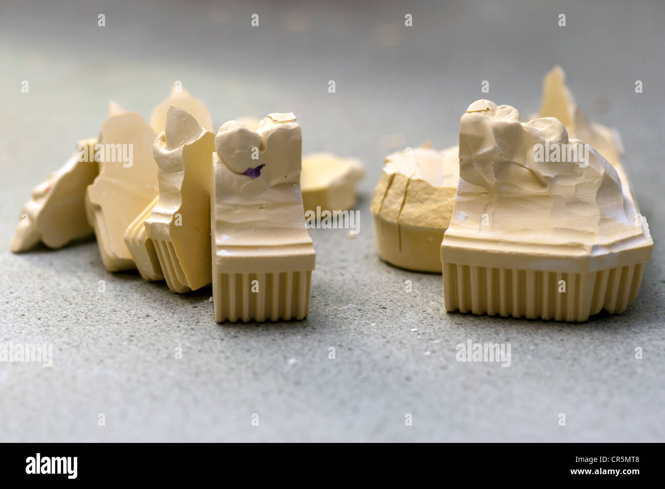 Upper jaw model, components Stock Photo