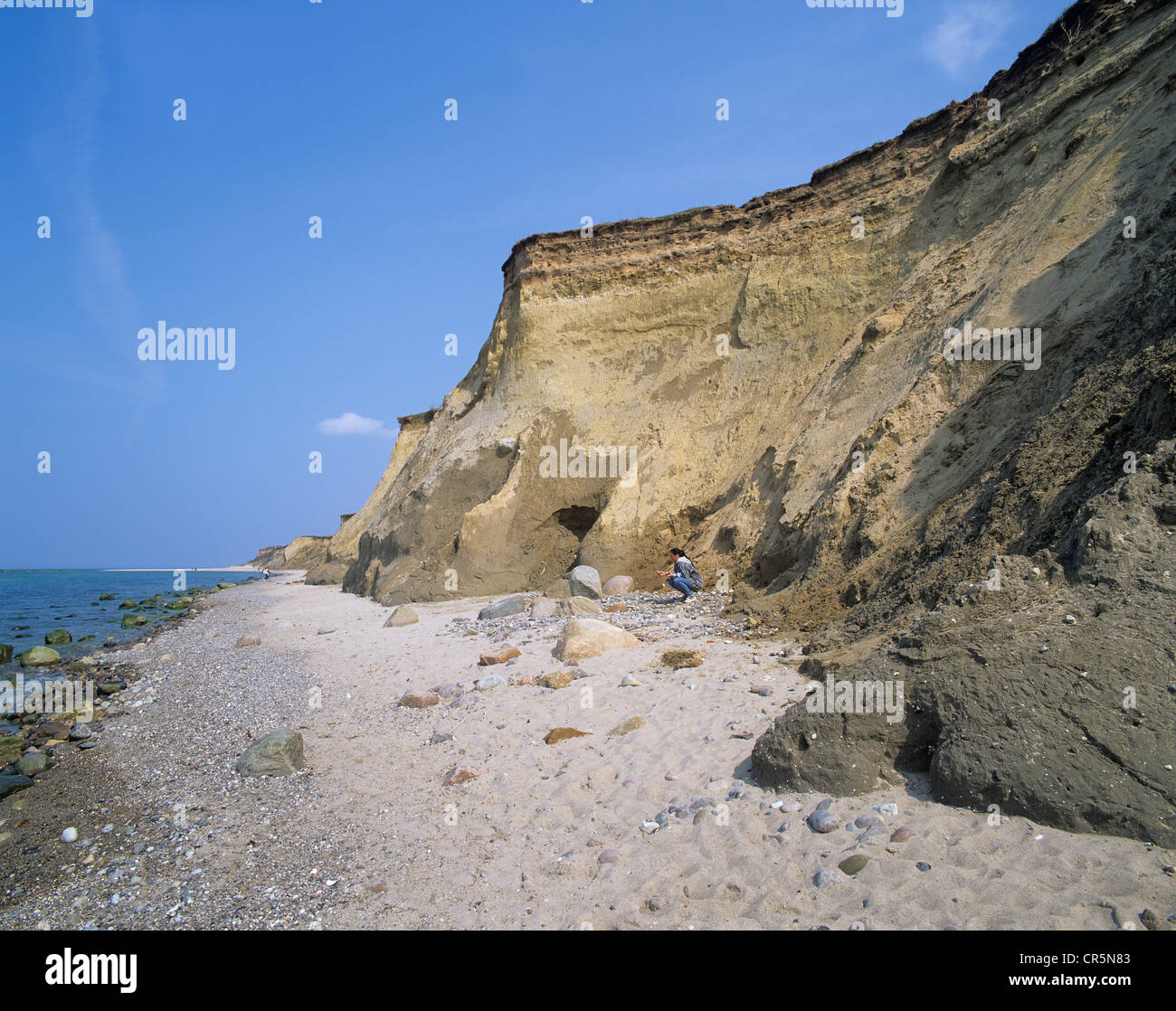 Dune on the edge of a cliff, bluff near Ahrenshoop, Fischland, Mecklenburg-Western Pomerania, Baltic Sea, Germany, Europe Stock Photo
