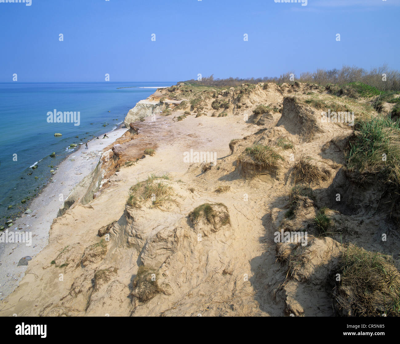 Dune on the edge of a cliff, bluff near Ahrenshoop, Fischland, Mecklenburg-Western Pomerania, Baltic Sea, Germany, Europe Stock Photo