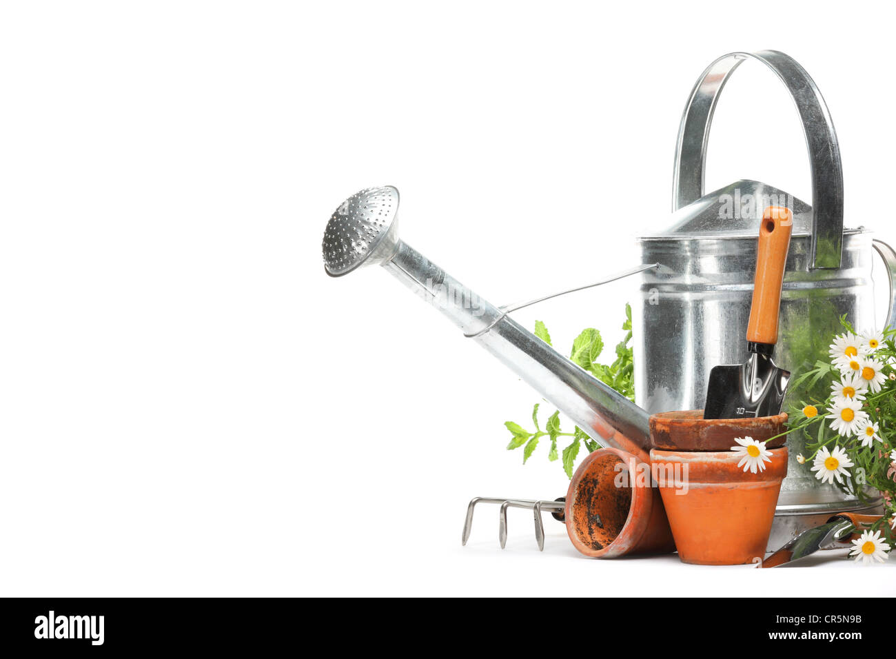 Gardening tools and flowers isolated on white with copy space. Stock Photo