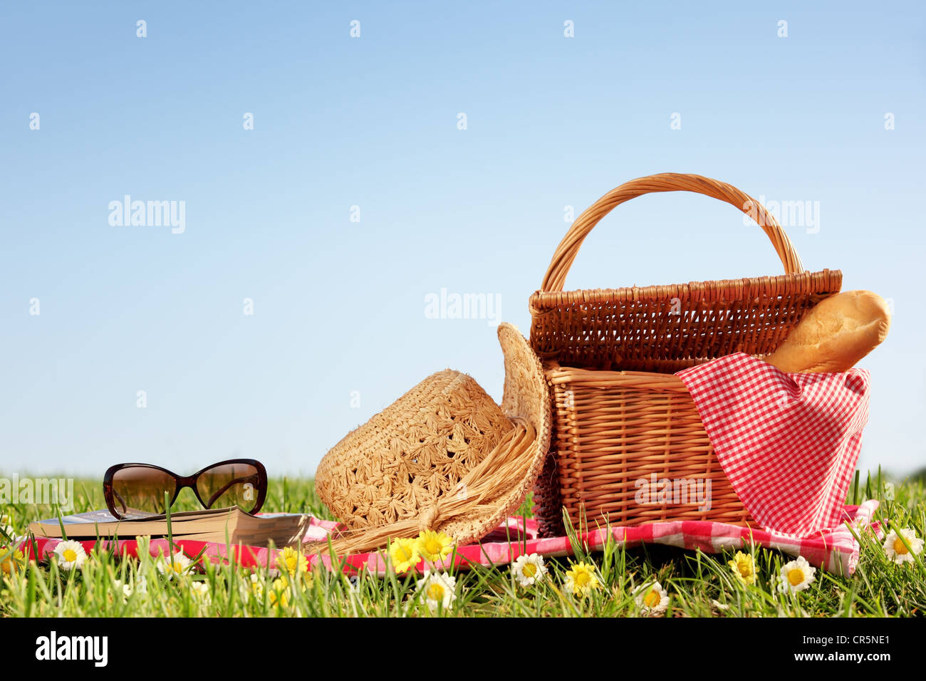 picnic setting on meadow with copy space. Stock Photo
