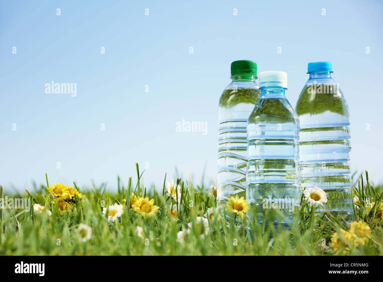 Water bottles on green grass with copy space. Stock Photo