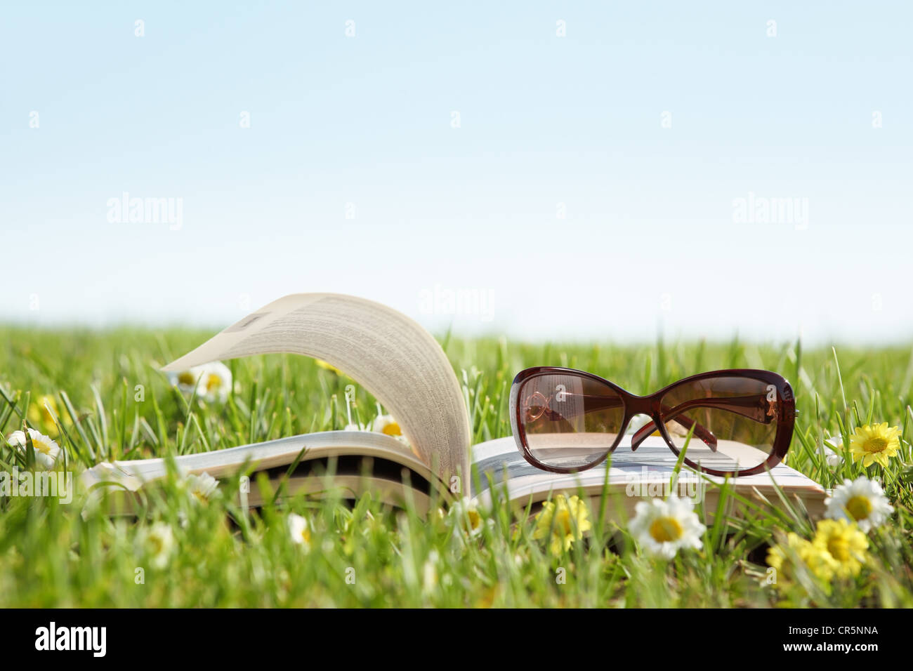 Glasses on a book outside with green grass Stock Photo