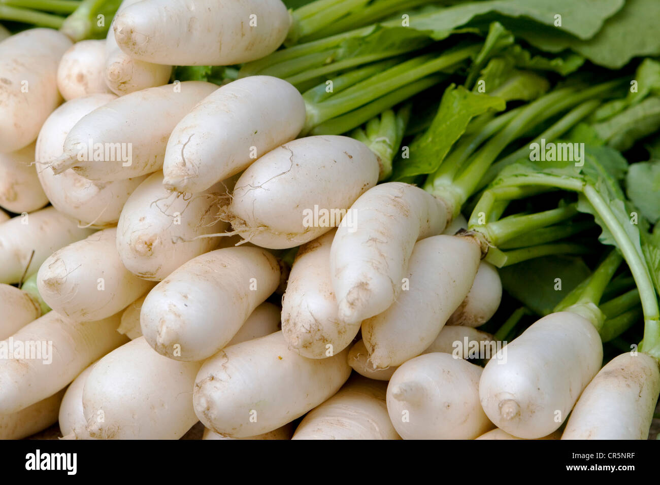 Radish for sale at the twice weekly fresh produce market, Mirissa